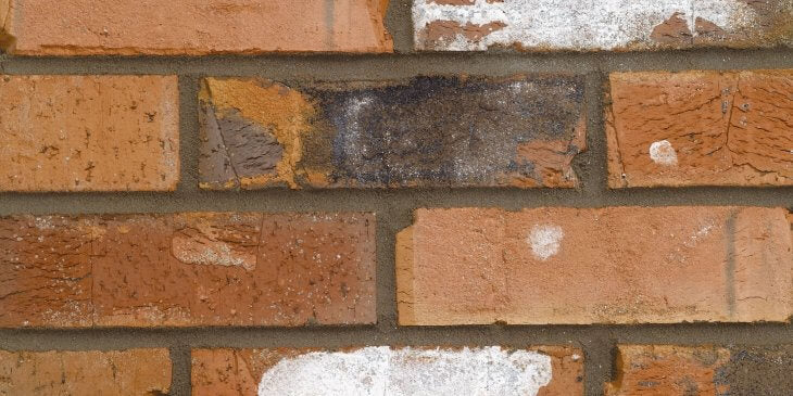 Forterra – The Brick Warehouse