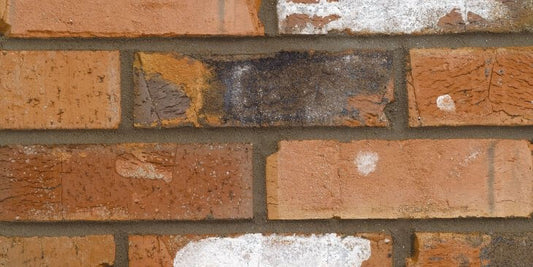 Chatsworth Multi Brick Pack of 452 image 0